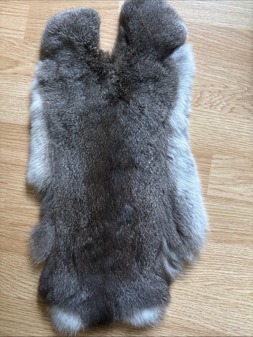 B0195 rabbit pelt
